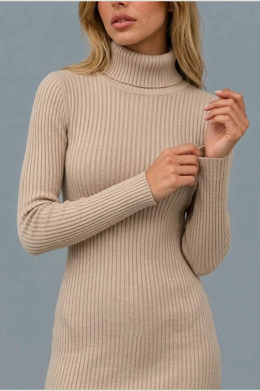 Women’s Ribbed Knit Mini Dress – Roll Neck Fitted Long Sleeve — variant_front