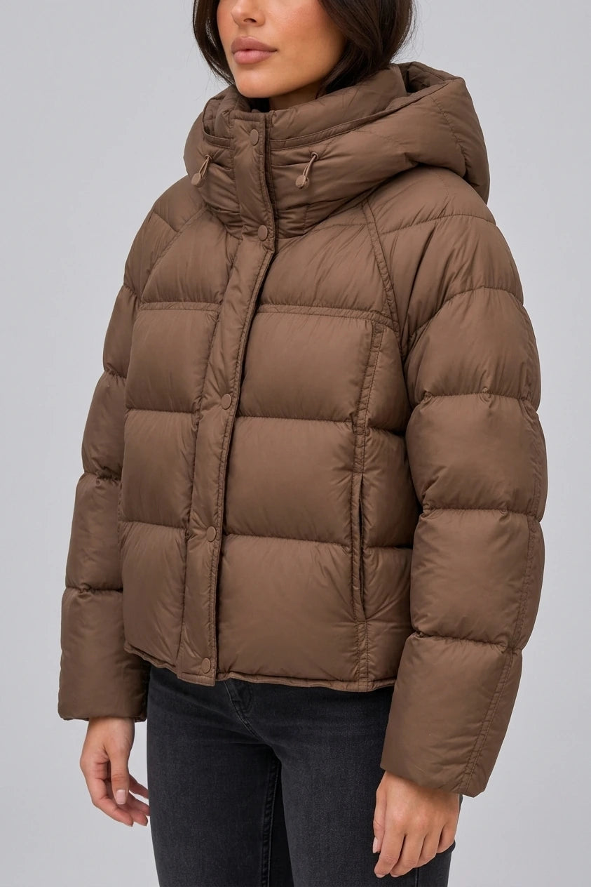 Women’s Hooded Puffer Jacket – High Neck Padded Winter Coat — variant_front