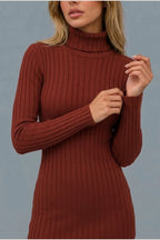 Women’s Ribbed Knit Mini Dress – Roll Neck Fitted Long Sleeve — variant_front