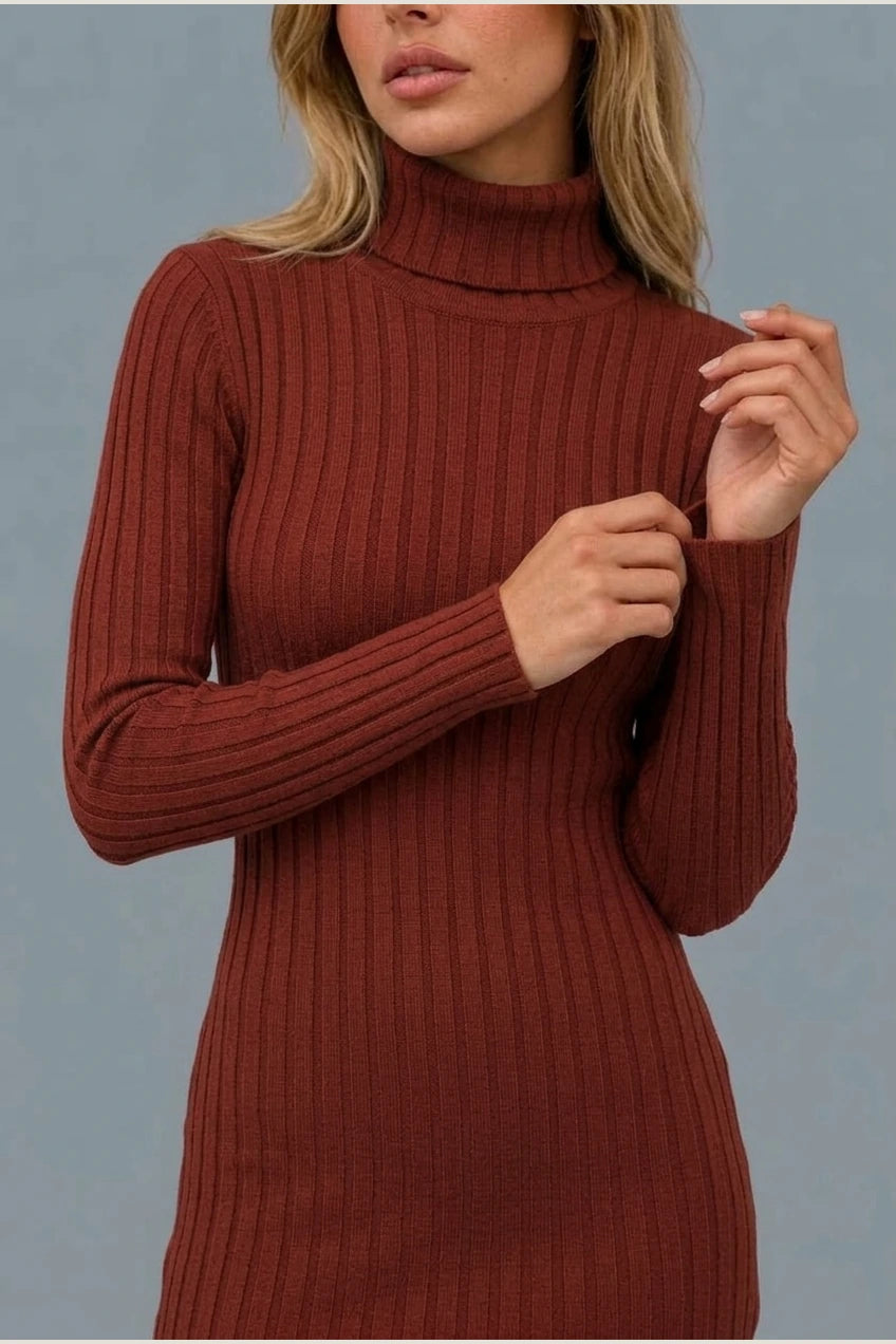 Women’s Ribbed Knit Mini Dress – Roll Neck Fitted Long Sleeve — variant_front