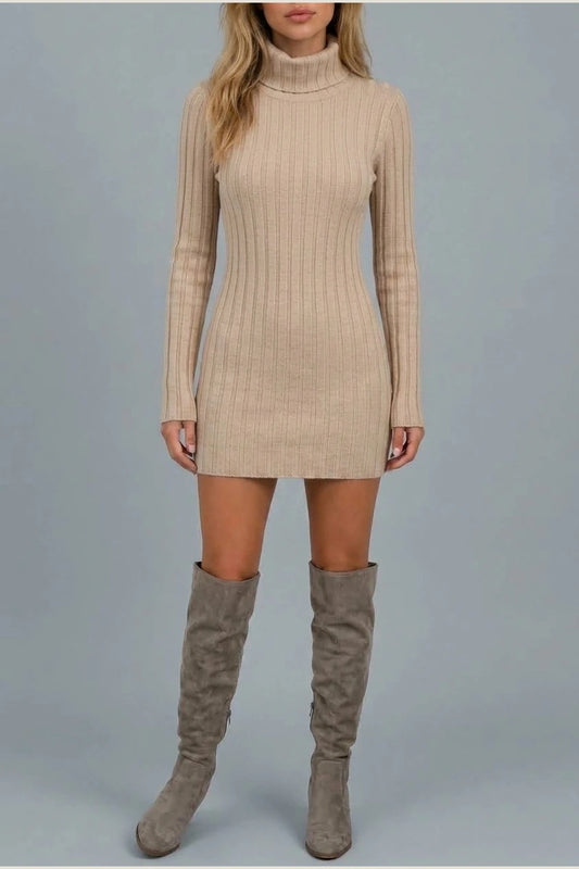 Women’s Ribbed Knit Mini Dress – Roll Neck Fitted Long Sleeve — variant_front