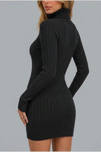 Women’s Ribbed Knit Mini Dress – Roll Neck Fitted Long Sleeve — variant_front