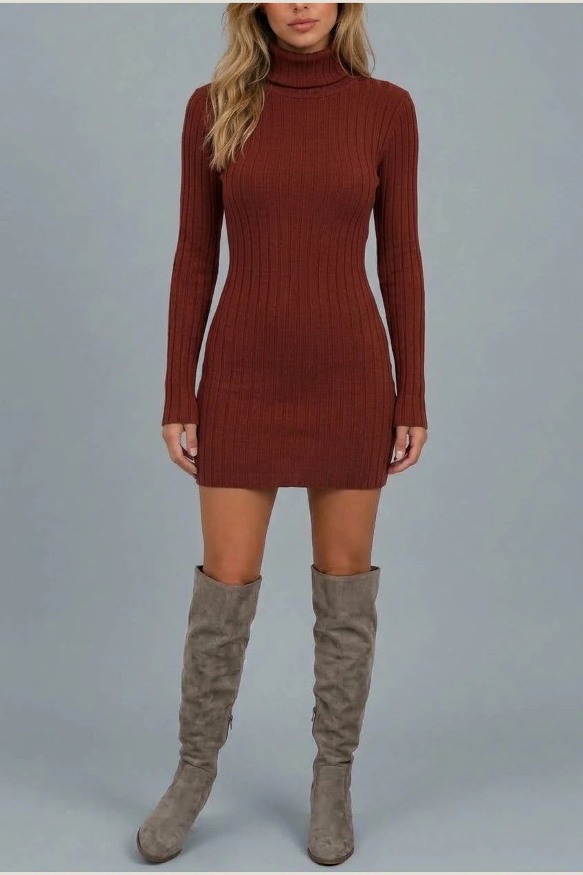 Women’s Ribbed Knit Mini Dress – Roll Neck Fitted Long Sleeve — variant_front