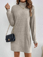 Cosy Ribbed Knit Turtleneck Mini Dress with Long Sleeves — variant_front