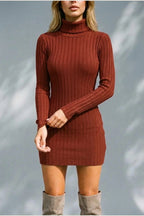 Women’s Ribbed Knit Mini Dress – Roll Neck Fitted Long Sleeve — variant_front
