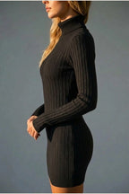 Women’s Ribbed Knit Mini Dress – Roll Neck Fitted Long Sleeve — variant_front