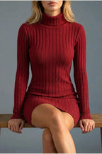 Women’s Ribbed Knit Mini Dress – Roll Neck Fitted Long Sleeve — variant_front