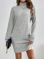Cosy Ribbed Knit Turtleneck Mini Dress with Long Sleeves — variant_front