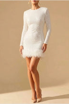 Mini Dress Women - Sequin Trim Dress with Feather Trim — variant_front