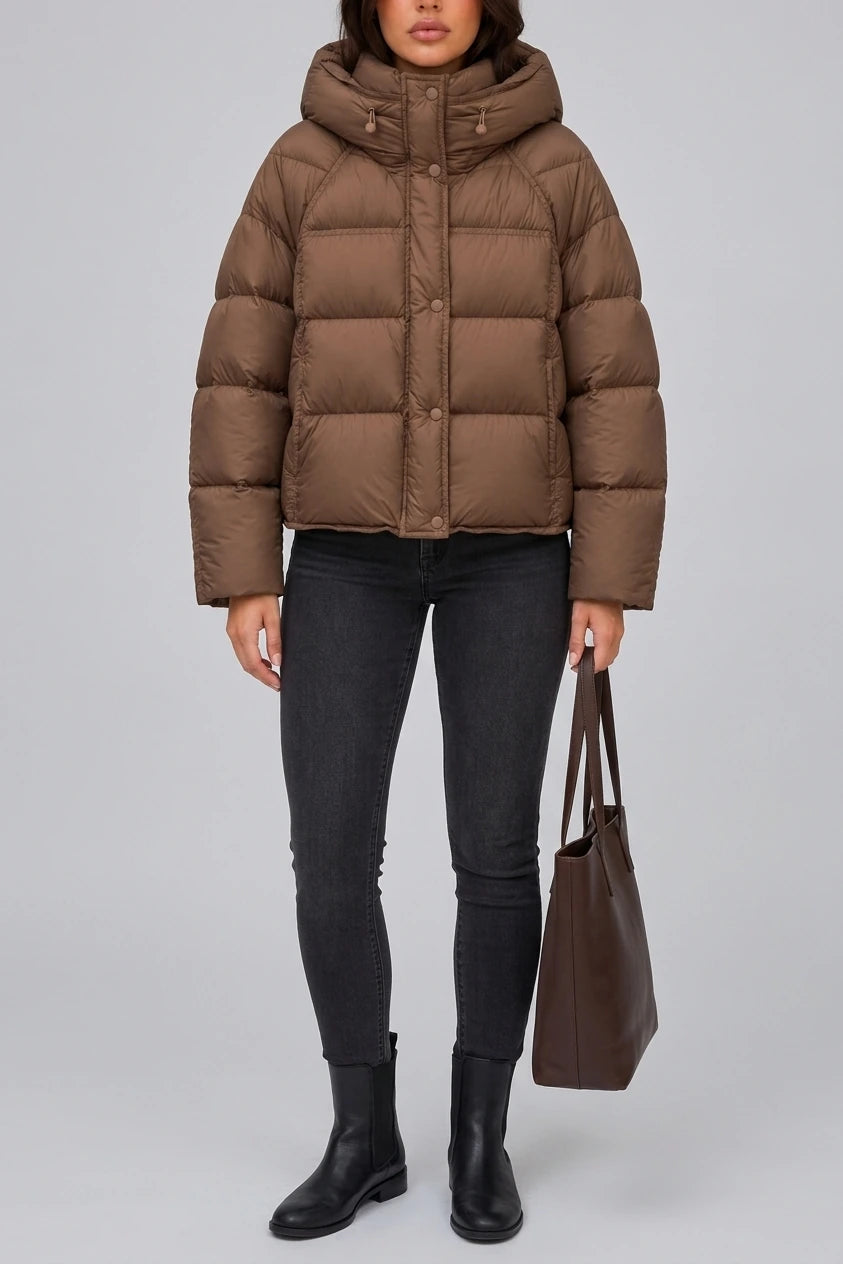 Women’s Hooded Puffer Jacket – High Neck Padded Winter Coat — variant_front