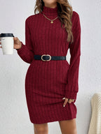 Cosy Ribbed Knit Turtleneck Mini Dress with Long Sleeves — variant_front