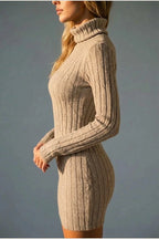 Women’s Ribbed Knit Mini Dress – Roll Neck Fitted Long Sleeve — variant_front