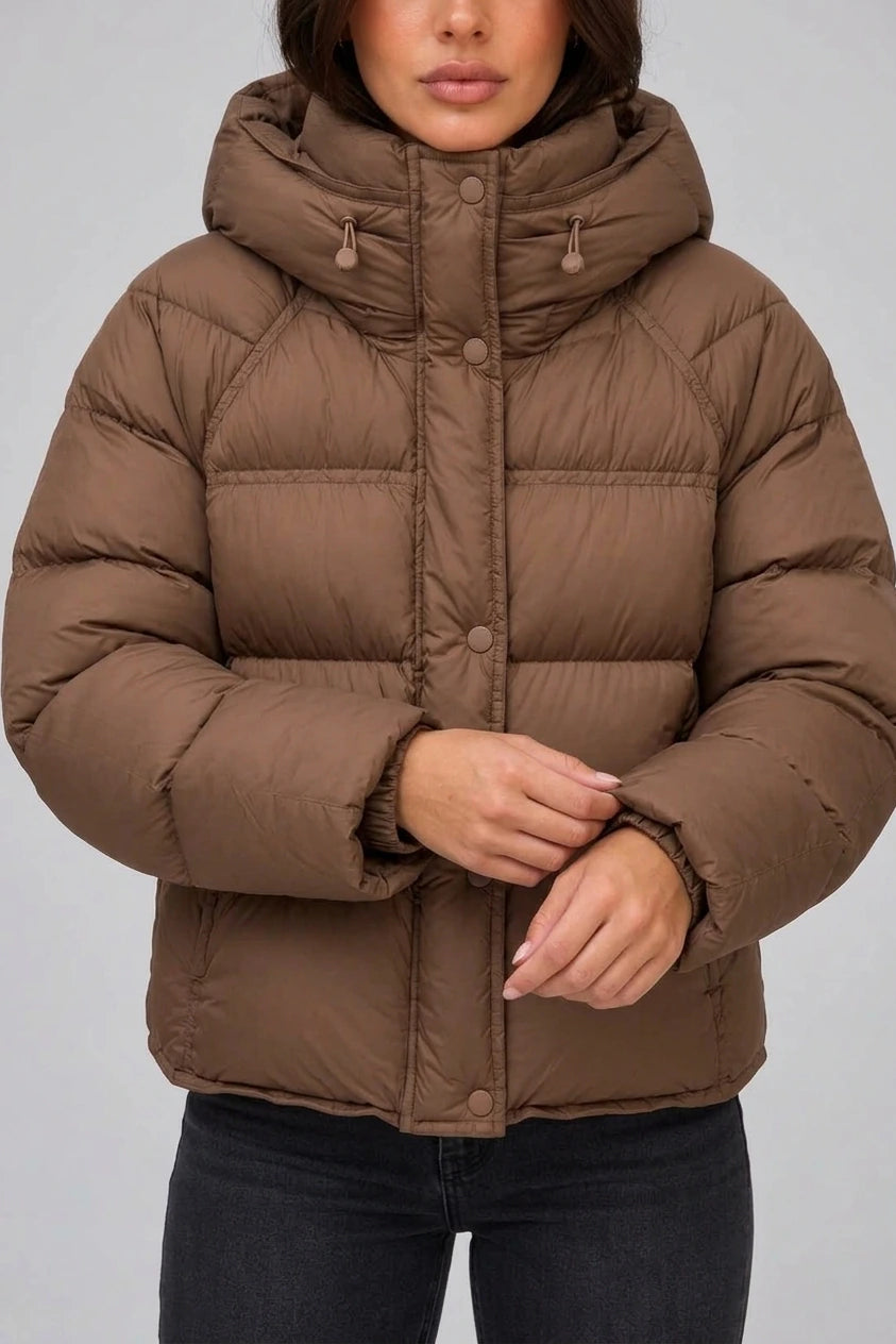 Women’s Hooded Puffer Jacket – High Neck Padded Winter Coat — variant_front