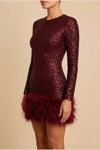Mini Dress Women - Sequin Trim Dress with Feather Trim — variant_front