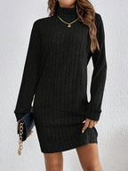 Cosy Ribbed Knit Turtleneck Mini Dress with Long Sleeves — variant_front