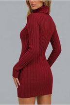 Women’s Ribbed Knit Mini Dress – Roll Neck Fitted Long Sleeve — variant_front