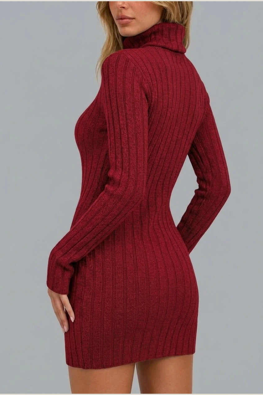 Women’s Ribbed Knit Mini Dress – Roll Neck Fitted Long Sleeve — variant_front