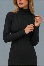 Women’s Ribbed Knit Mini Dress – Roll Neck Fitted Long Sleeve — variant_front