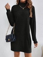 Cosy Ribbed Knit Turtleneck Mini Dress with Long Sleeves — variant_front