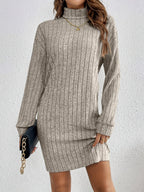 Cosy Ribbed Knit Turtleneck Mini Dress with Long Sleeves — variant_front