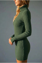 Women’s Ribbed Knit Mini Dress – Roll Neck Fitted Long Sleeve — variant_front
